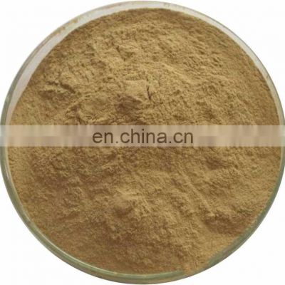 Gymnema Sylvestre Extract Powder 25%Gymnemic Acid-100% pure natural plant extract