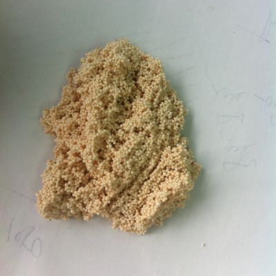 Peptides extraction and separation resin