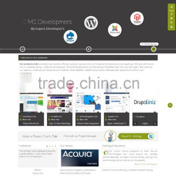official websites, company website design and development