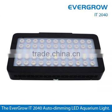 EverGrow IT2040 programmable aquarium led salt water lights