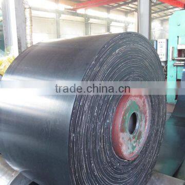 professional acid resistant nylon conveyor belt