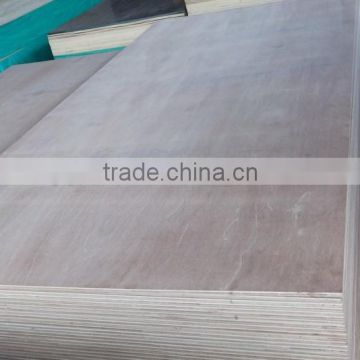 hardwood/eucalyptus plywood factory of Guangxi China