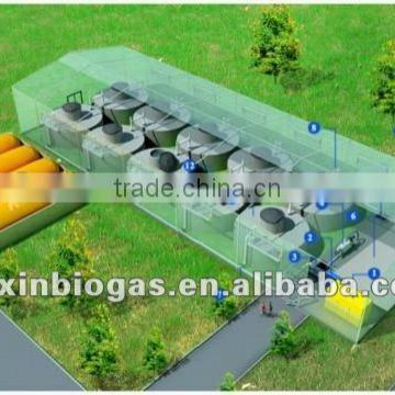 Durable quality Medium size anaerobic digestion system for grass treatment