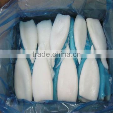 quality frozen squid tube importer