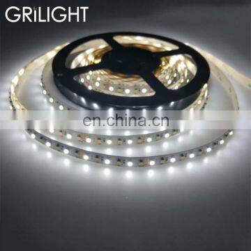 CCT Adjustable 2 in 1 Dual Color WW CW Led Strip