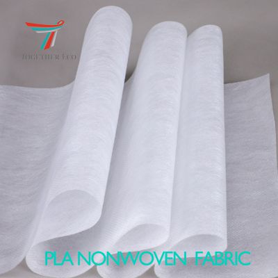 Hot Sale 100% Biodegradable Colourful Disposable Medical Pla Nonwoven Fabric