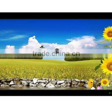 27 Inch Interactive Digital Signage Kiosk, Advertising Touch Screen Display(Uniprocessor version)