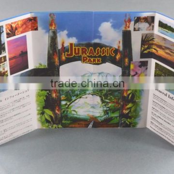 Cheap Custom brochure printing