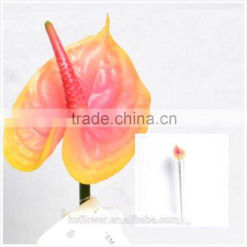 High Quality Emulational Anthurium, Progressive Red