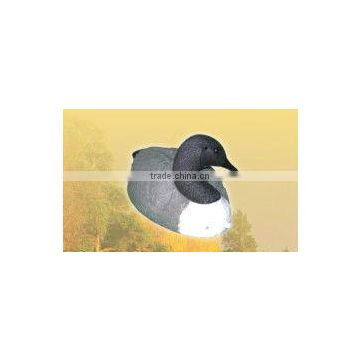 black head white chest plastic duck