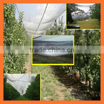 Agriculture apple tree anti hail net, anti hail netting, hdpe anti hail net