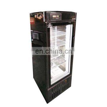 Natural fruit flavors frozen yogurt machine / fruit ice cream machine for sale