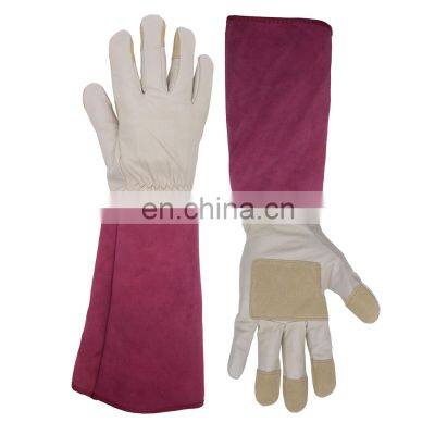 HDD Multipurpose Ladies Long Sleeve Leather Pigskin Rose Gardening Gloves,high protection gloves