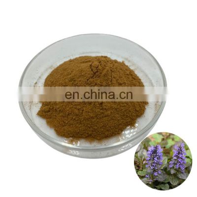 Manufactory Directly Sale Pure Natrual Ajuga Turkestanica Extract USP Turkesterone Powder 2% 10% 20%