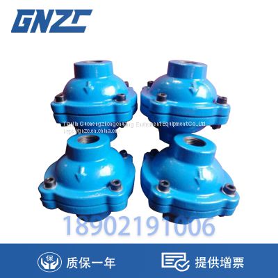 check valve DN20 A2951