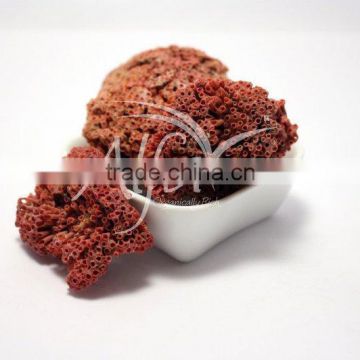 Red Coral Stone