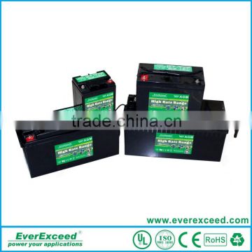 Promotion price EverExceed High Rate range ups battery 12v 100ah