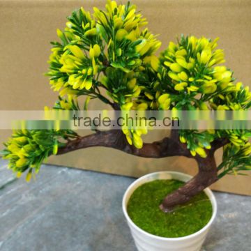 Tianjin factory all kinds of artificial mini flower bonsai