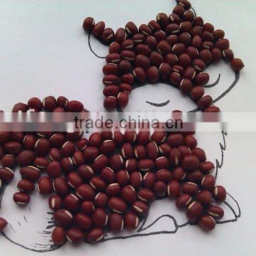 Chinese Small Red Bean/adzuki bean( New crop, heilongjiang origin, hps)