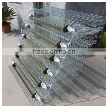 Trapezoidal And Vertical Type Quail Cages For Sale