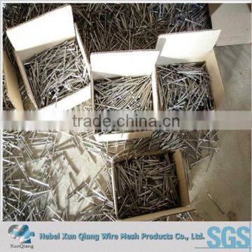 common wire nail factory/1.5" wire nails best seller