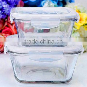 Glass Microwave Food Container