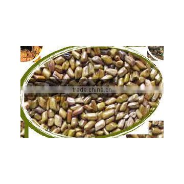 Best cassia seed