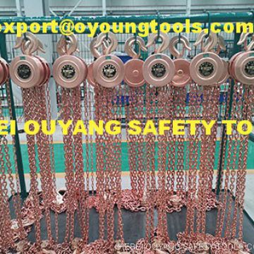 Non-Sparking Lifting Chain Block Hoist Cap 0.5-2 TON,Copper Beryllium ATEX FM Certificate