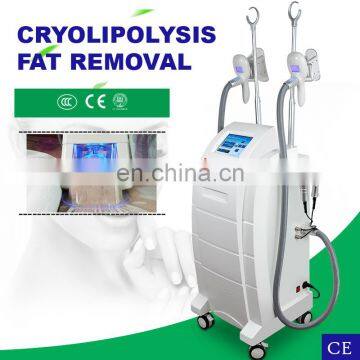 Popular Fat freezing /cryolipolysis slimming machine/criolipolisys machine