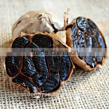 Good Vegetable Product from China Black Garlic