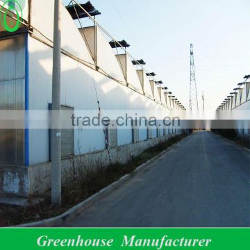 Hot Dipped Galvanized Film Green House