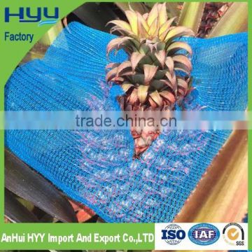 2015 Hot Sale vegetable vergin HDPE Pineapple net