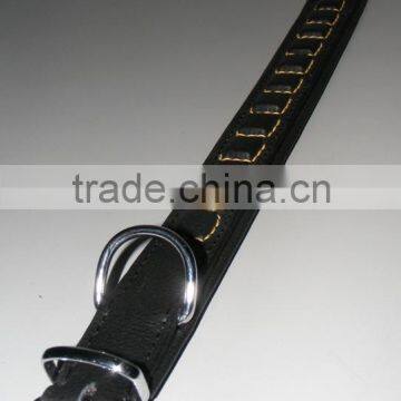 square bid dog collar