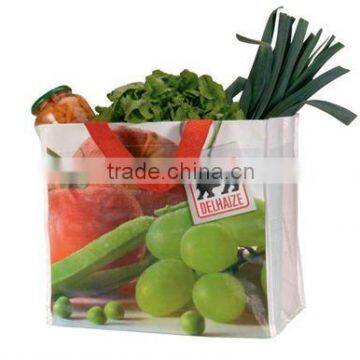 2011 Non woven laminated bag for shopping