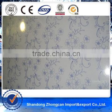 JIS PE Zn 50g *0.90mm*1220mm Printed PPGI Taian Zhongcan Steel Plate for Roll-up door