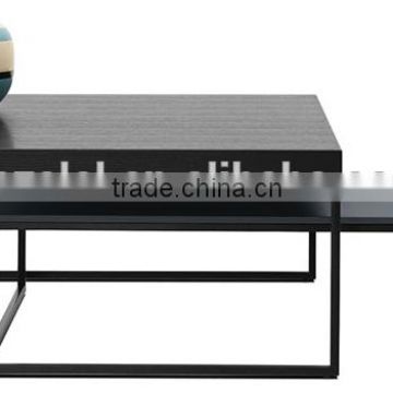 Modern stainless steel/wood coffee table