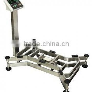 Digital Weighing Electronic "X" Type Bench Scale