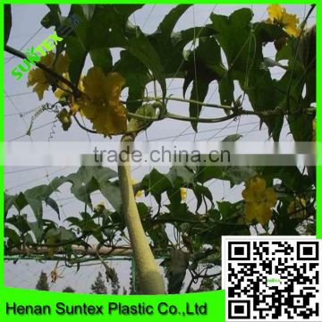 high quality HDPE Plant climbing net for vegetables growing