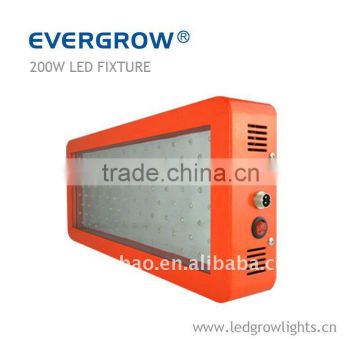 EverGrow 200W high quality efficient led grow box EG-100*3W-GP3-SXB
