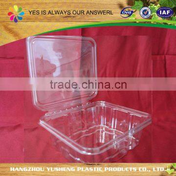 Biodegradable food packaging disposable transparent fruit packaging