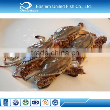 chinese sea export excellent blue swimming crab