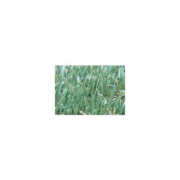 Fake Decoration Outdoor Artificial Grass Lawns w/ Yarn Height 30mm
