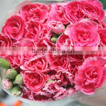 Good smell hot sale fresh cut carnations and roses