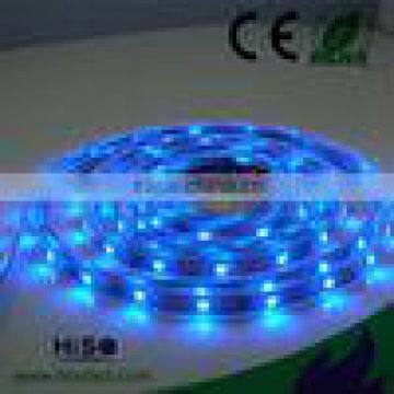 12V 3528 LED Blue Christmas Epoxy Led rope Lights