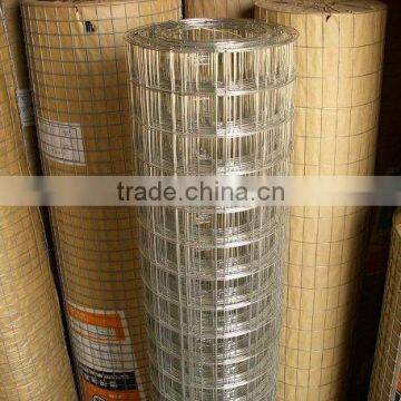 galvanized welded mesh roll ( 1m*30m)