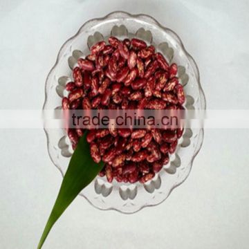 JSX Grade A sparkle kidney beans vietnam export green bean price