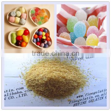 candy gelatin production line/skin food halal gelatin/edible gelatin price