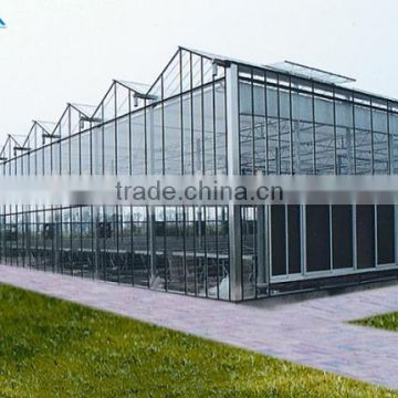 Galvanized Steel Structure Tempered Glass Greenhouse/Hydroponics Greenhouse/Commercial Greenhouse