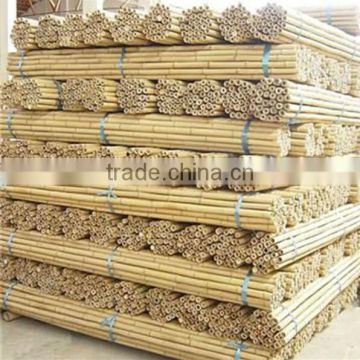 Supply Bamboo Poles /bamboo canes at Cheap Price