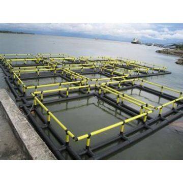 Cage Fish Farming Floating Net Cage Square And Circle